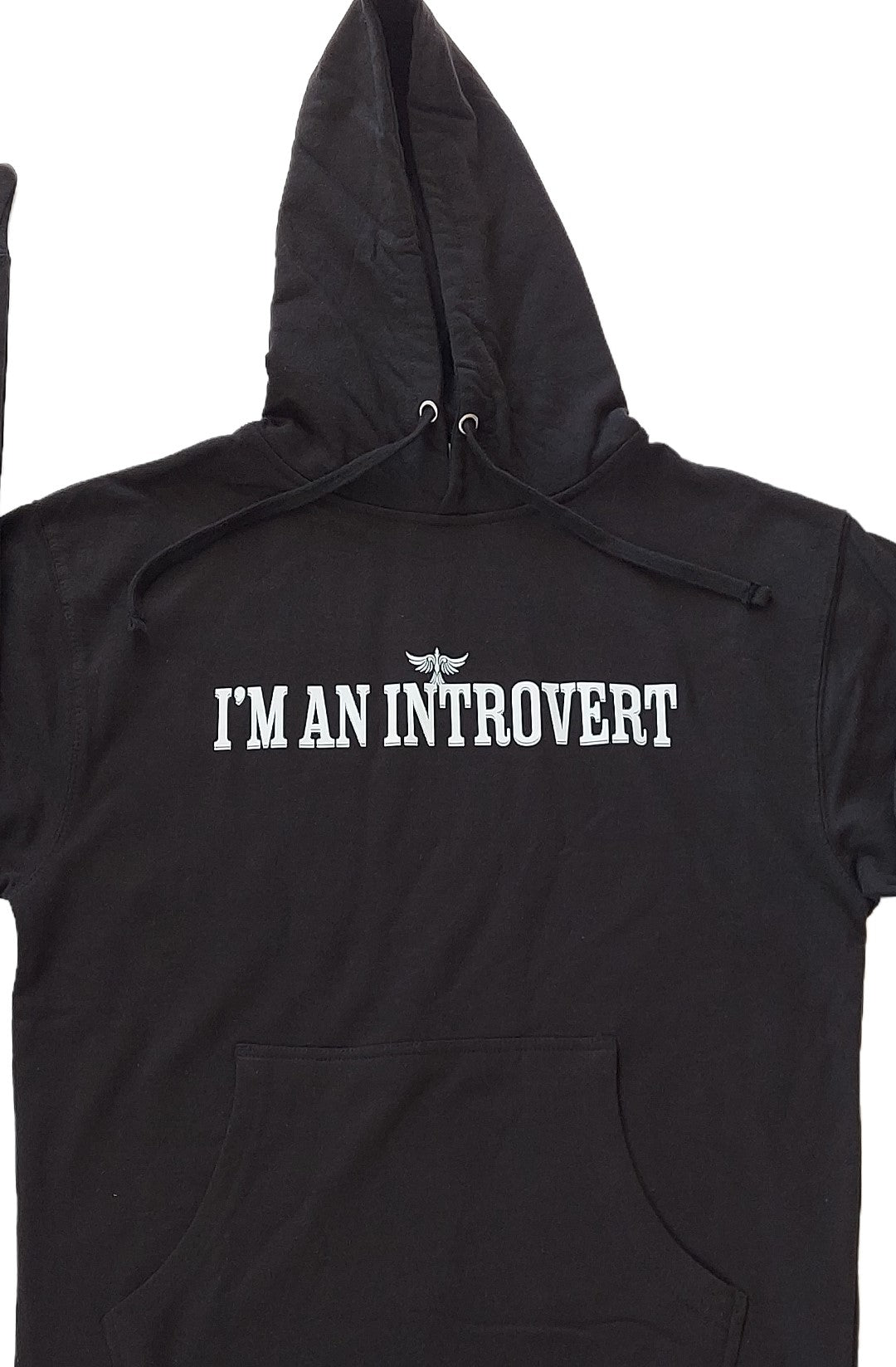 I'm An Introvert